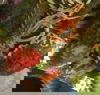 7 By The Lake - Accommodation Australia