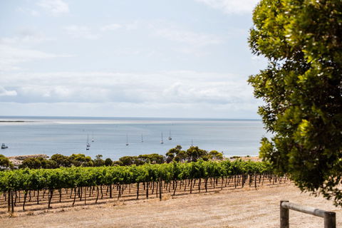 Bay Of Shoals Wines - Local Tourism 2