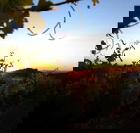 Glenbosch Wine Estate - Local Tourism