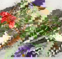 Just Earth - Accommodation Australia