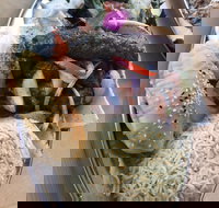 Arabella's Charcoal - Accommodation Australia