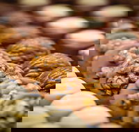 Challys Bar and Bistro - Accommodation Australia