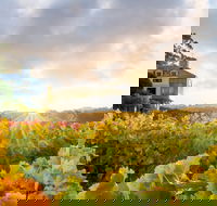 Hahndorf Hill Winery - Local Tourism