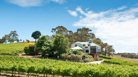Hahndorf Hill Winery - Local Tourism 1