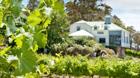 Hahndorf Hill Winery - Local Tourism 2