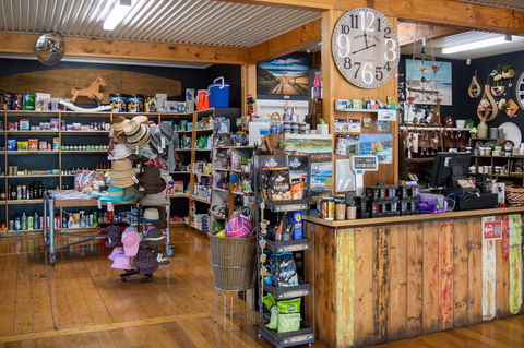 Anglesea General Store - Accommodation Australia 1