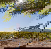 Hayes Family Wines - Accommodation Australia