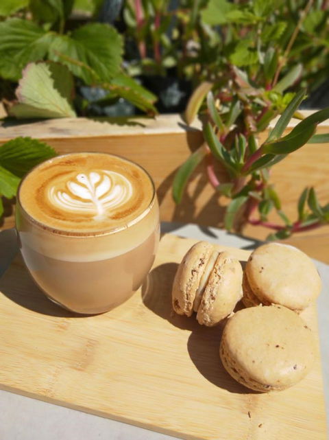 Pandesal Bakery - Bed n Breakfasts 1