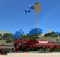 The Vine Hotel North Wangaratta - Local Tourism