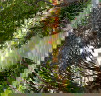 Velvet  Willow - Accommodation Australia