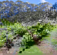 Woongooroo Estate Winery - Accommodation Australia
