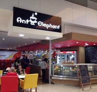 Ant  Elephant - Accommodation Australia