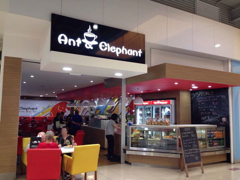 Ant & Elephant - Accommodation Australia 0