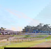 Blacklea Vineyard and Olive Grove - Accommodation Australia