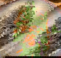 Social Eat Share Live - Accommodation Australia