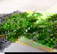 Sushi Master - Hillarys - Accommodation Australia