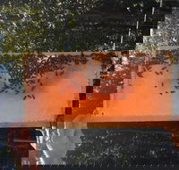 Clayridge Honey - Accommodation Australia