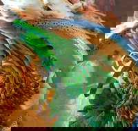 Fairbrossen Estate - Accommodation Australia