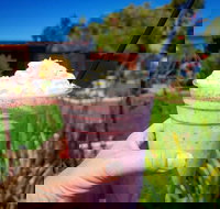 Flower Cellar Door and Cafe - Australia Shopping