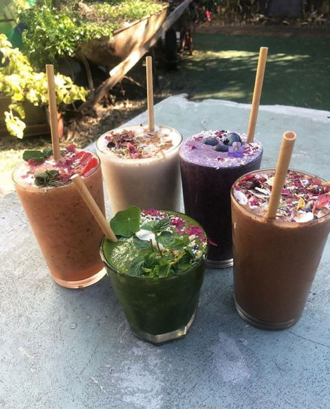 Garden Grub Cafe - Accommodation Australia 0