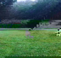 Goat Hill Farm - Australia Shopping