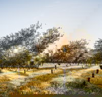 Guneemooroo Estate - Accommodation Australia