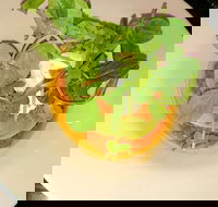 Harvey's Bar - Bed n Breakfasts