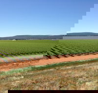 Melange Wines