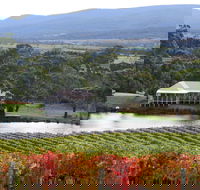 Milton Vineyard - Accommodation Australia