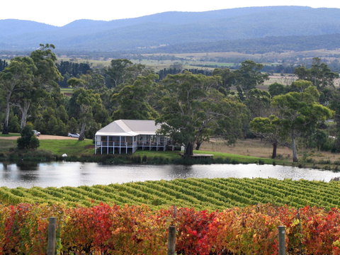Milton Vineyard - Local Tourism 0