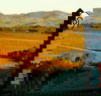 Seize the Day Wines - Australia Shopping