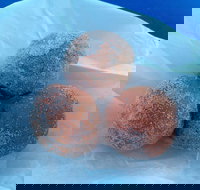 Coral Bay Bakery - Local Tourism