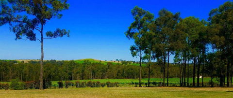 Degen Wines - Accommodation Australia 0