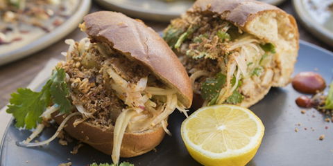 Mr Tuppy - Accommodation Australia 0