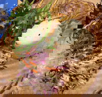 The Gardens Cafe - Local Tourism