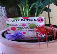 Antz Pantz Cafe - Accommodation Australia