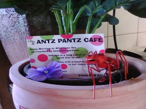 Antz Pantz Cafe - Accommodation Australia 0