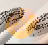 Delish Patisserie - Local Tourism