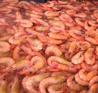 Grunske's By The River Seafood Market and Restaurant - Accommodation Australia