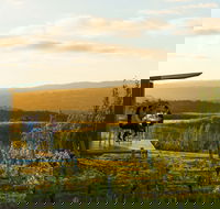 The Lane Vineyard - Local Tourism