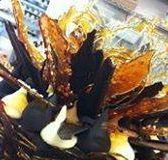 Daily Dose Cafe Wine Bar - Accommodation Australia