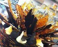 Daily Dose Cafe Wine Bar - Accommodation Australia 0