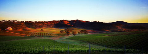 Dalwhinnie Wines - Australia Shopping 0