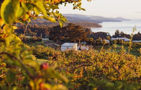 The Woodbridge Smokehouse - Local Tourism 0