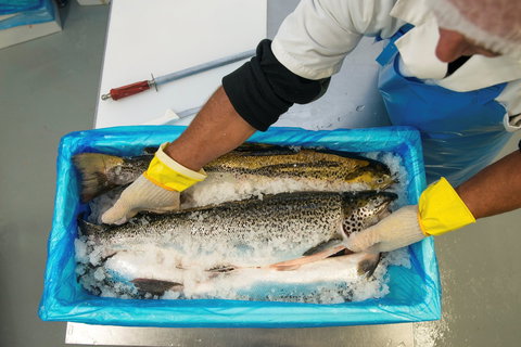 The Woodbridge Smokehouse - Local Tourism 1