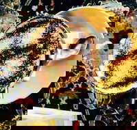 Cafe 3847 - Local Tourism