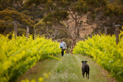 Islander Estate Vineyards - Local Tourism 1