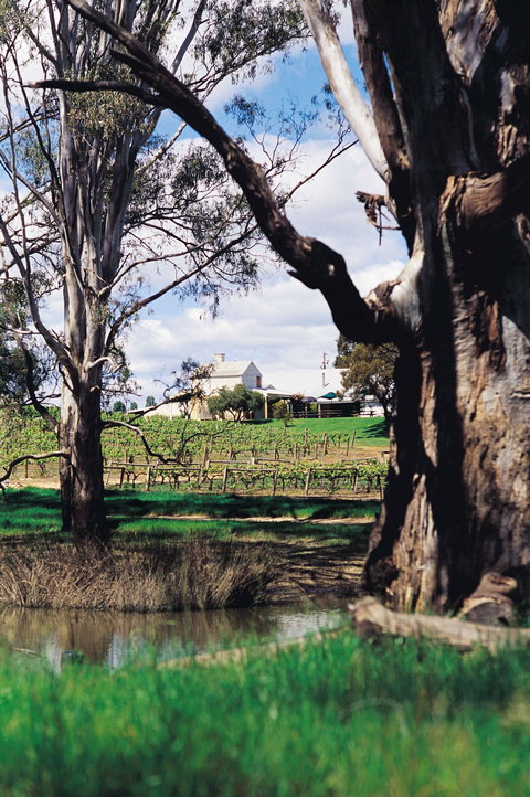 St Leonards Vineyard Café - Local Tourism 1