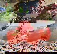 Fillippo's - Campbelltown - Accommodation Australia