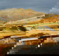 Optimiste Wines - Accommodation Australia